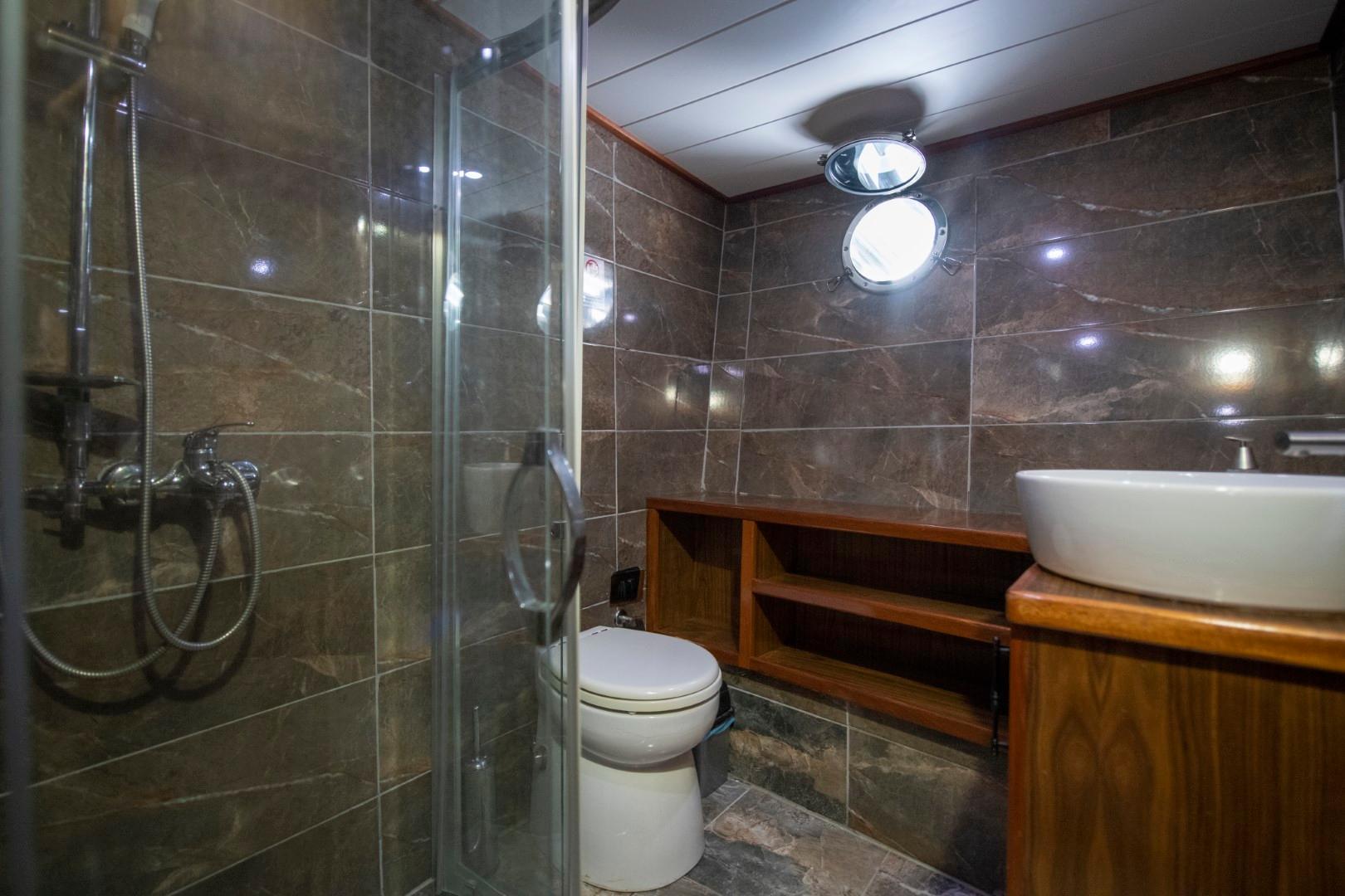 luxury yacht bathroom featuring glass shower enclosure, toilet, marble wall tiles and wooden vanity