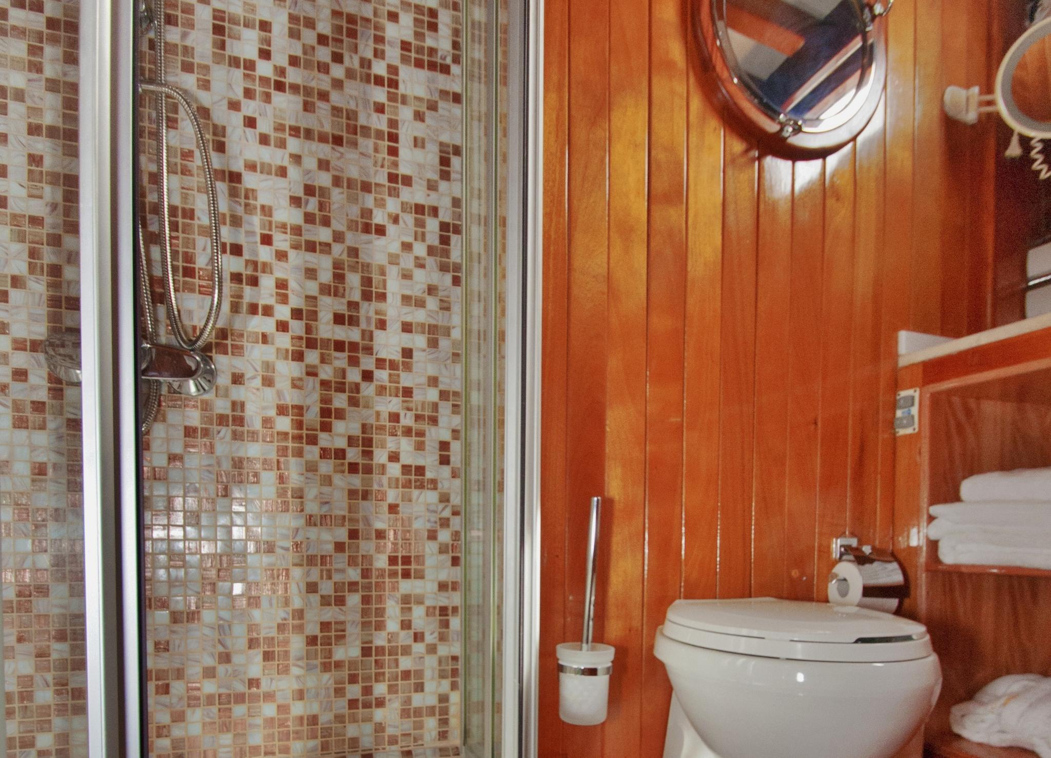 yacht bathroom interior with mosaic tile shower, toilet, and wood paneling