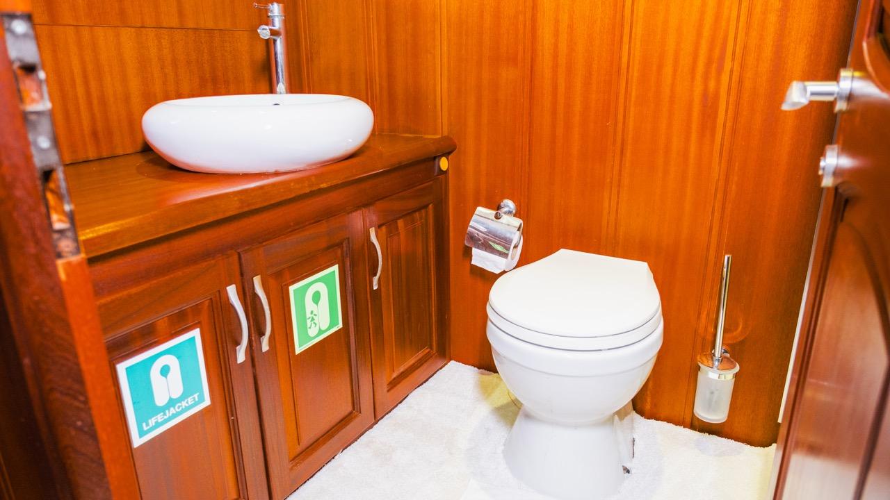 yacht bathroom featuring white oval vessel sink on wood vanity and wall-mounted toilet