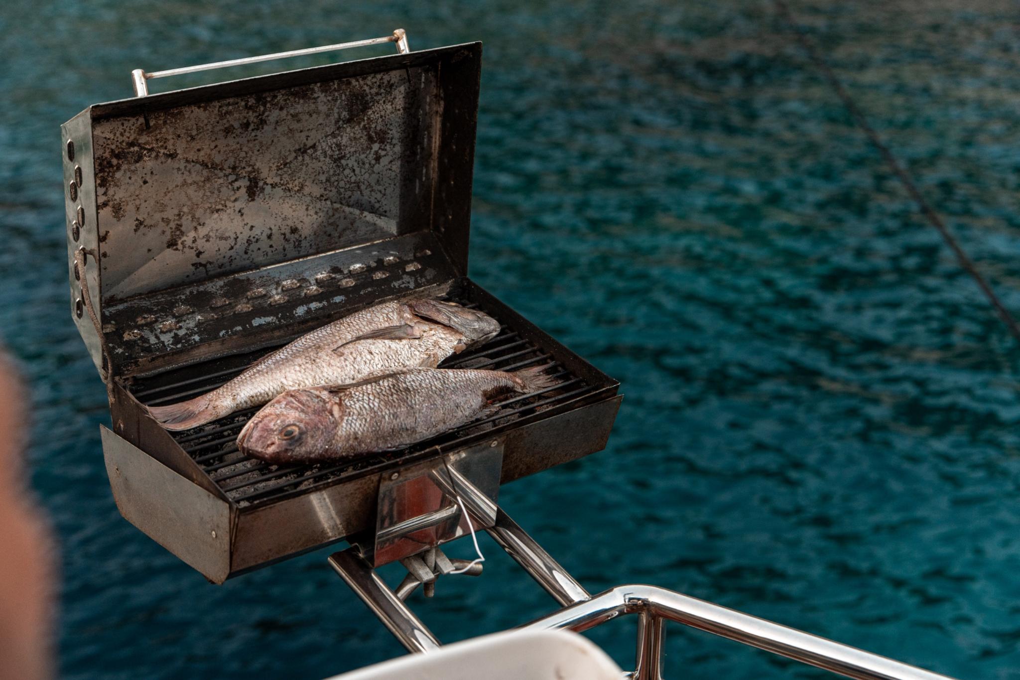 Fresh whole fish grilling on stainless steel yacht barbecue over turquoise water