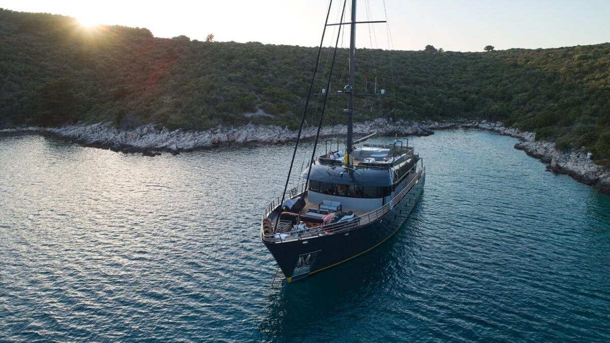 Rara Avis — photo 7